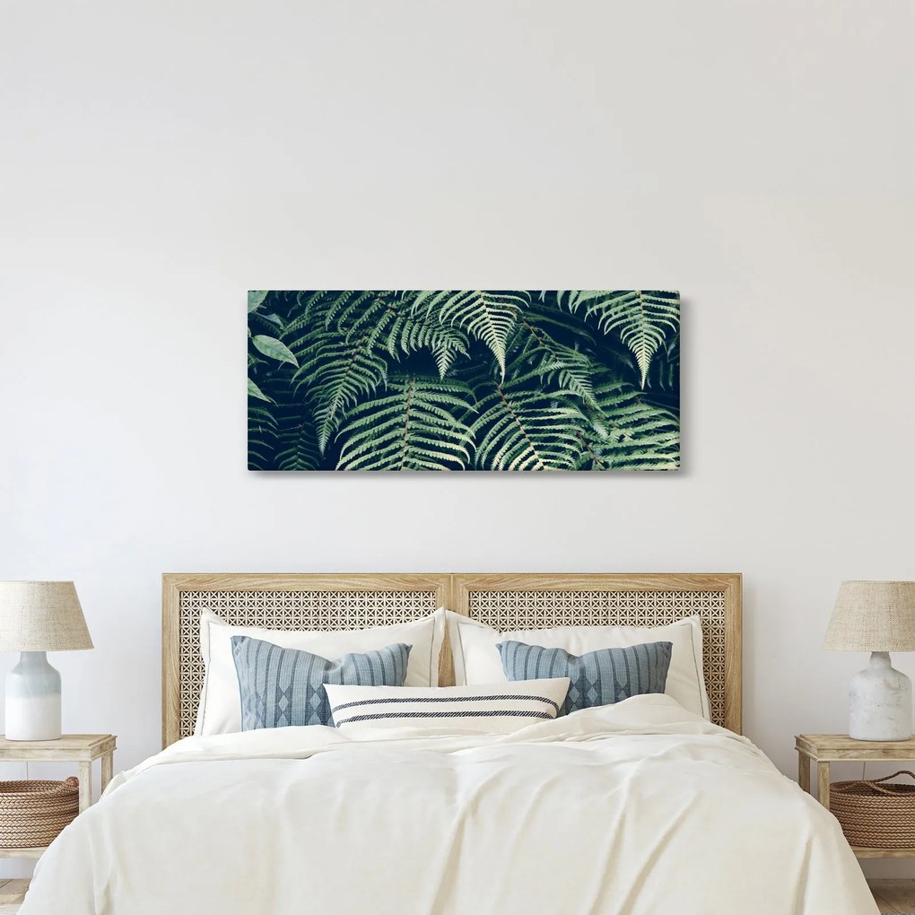 Obraz listov papradí (120x50 cm)