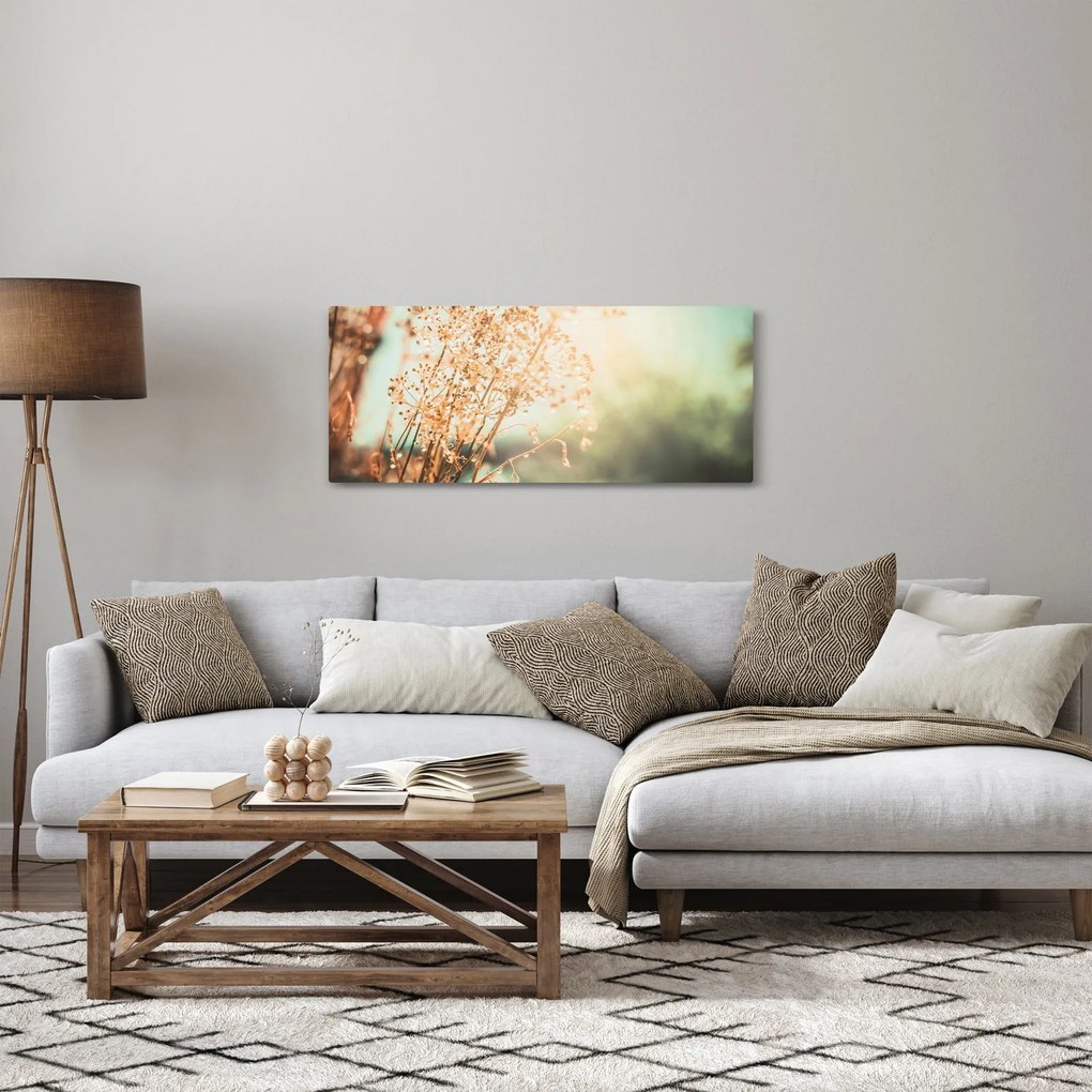 Obraz - Lúčne rastliny (120x50 cm)
