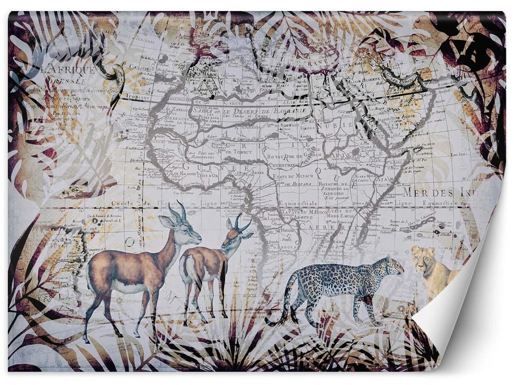 Gario Fototapeta divoké zvieratá - Andrea Haase Materiál: Vliesová, Rozmery: 350 x 245 cm