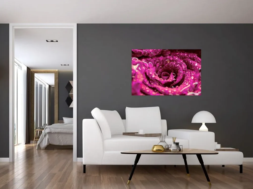 Obraz ružového kvetu ruže (90x60 cm)