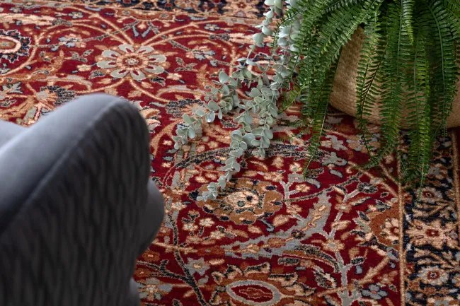 Koberec KESHAN, strapce 6650/53578 terakota / béžový