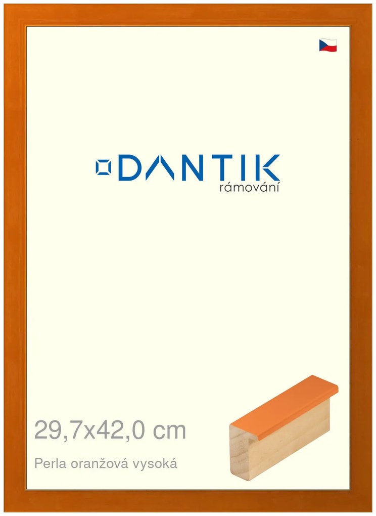 DANTIK rám na obraz 29,7x42 | PERLA oranžová vysoká (Plexi Čiré)