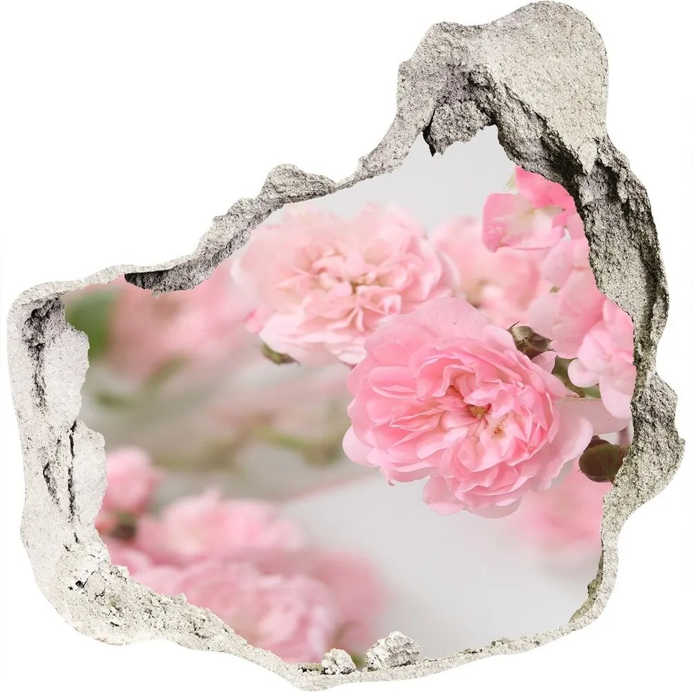 Samolepiaca nálepka na stenu Divoké ruže WallHole-75x75-piask-113333755