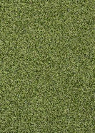 Koberce Breno Umelá tráva PRADO, šíře role 200 cm, zelená