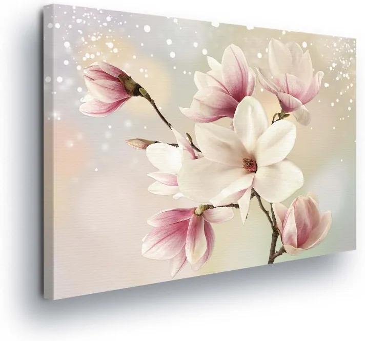 GLIX Obraz na plátne - Magical Pink Flowers 100x75 cm
