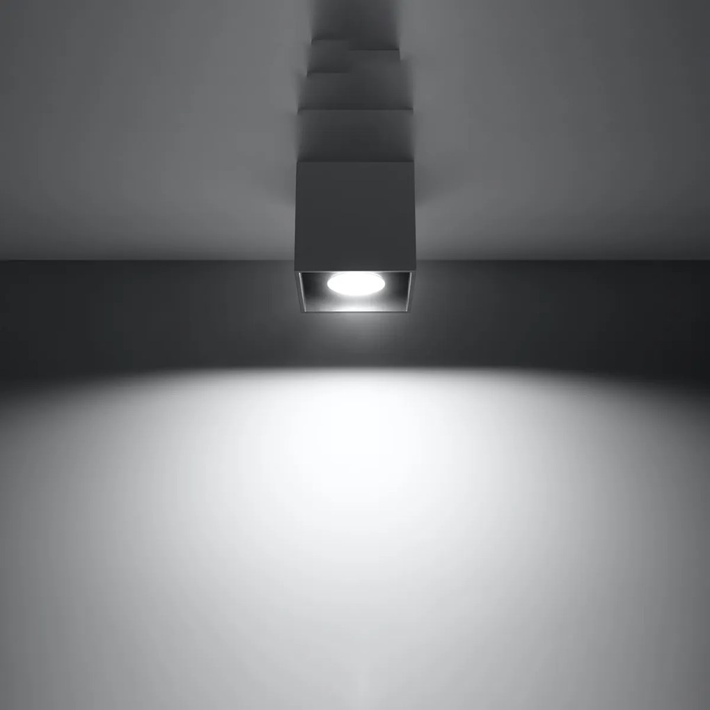 Stropné svietidlo Quad, 1x tmavosivé kovové tienidlo