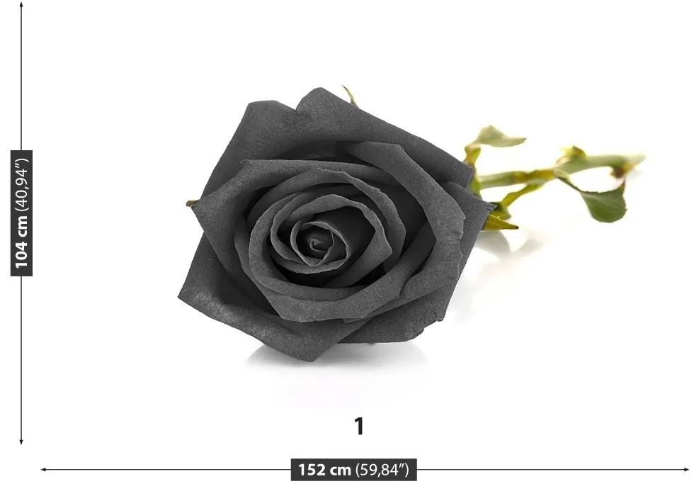 Fototapeta Vliesová Čierna ruža 104x70 cm