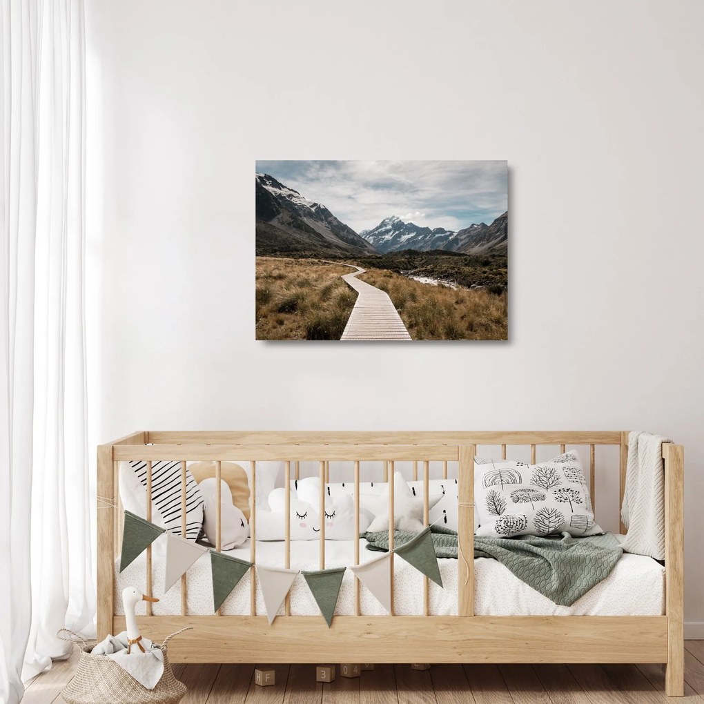 Sklenený obraz - Chodník v údolí hory Mt. Cook (70x50 cm)
