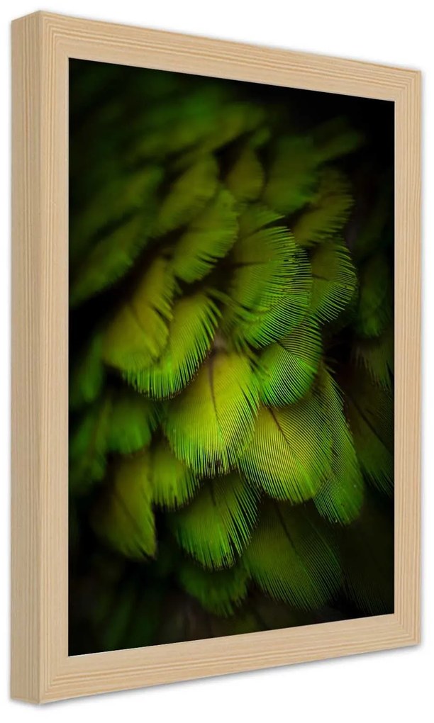 Gario Plagát Abstrakt zo zeleného peria Farba rámu: Čierna, Rozmery: 70 x 100 cm