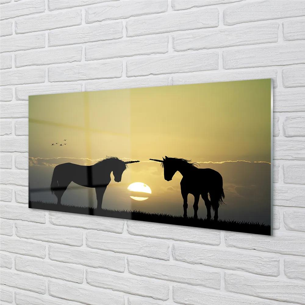 Obraz na akrylátovom skle Poľné sunset jednorožce 100x50 cm
