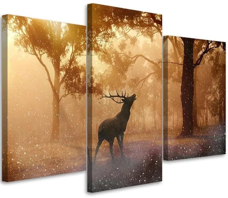 Obraz na plátně třídílný Jelení les Východ slunce Příroda - 90x60 cm