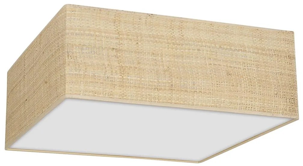 Stropné svietidlo MARSHALL 2xE27/60W/230V