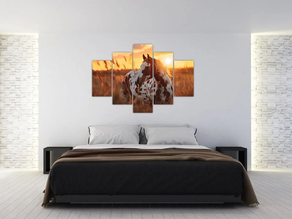 Obraz - Kôň pri západe slnka (150x105 cm)