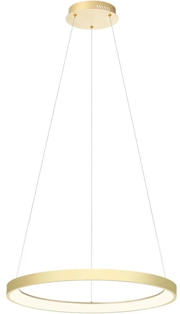 Redo 01-2673-LED Stmievateľný luster na lanku ICONIC LED/50W/230Vpr. 58 cm zlatá
