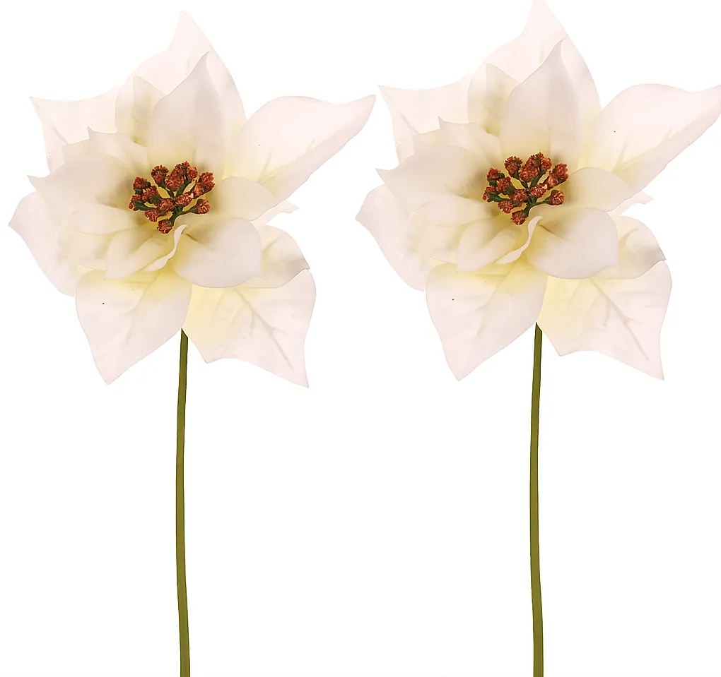Set vianočná ruža kvet na stonke, 2ks, krémová, 32 cm