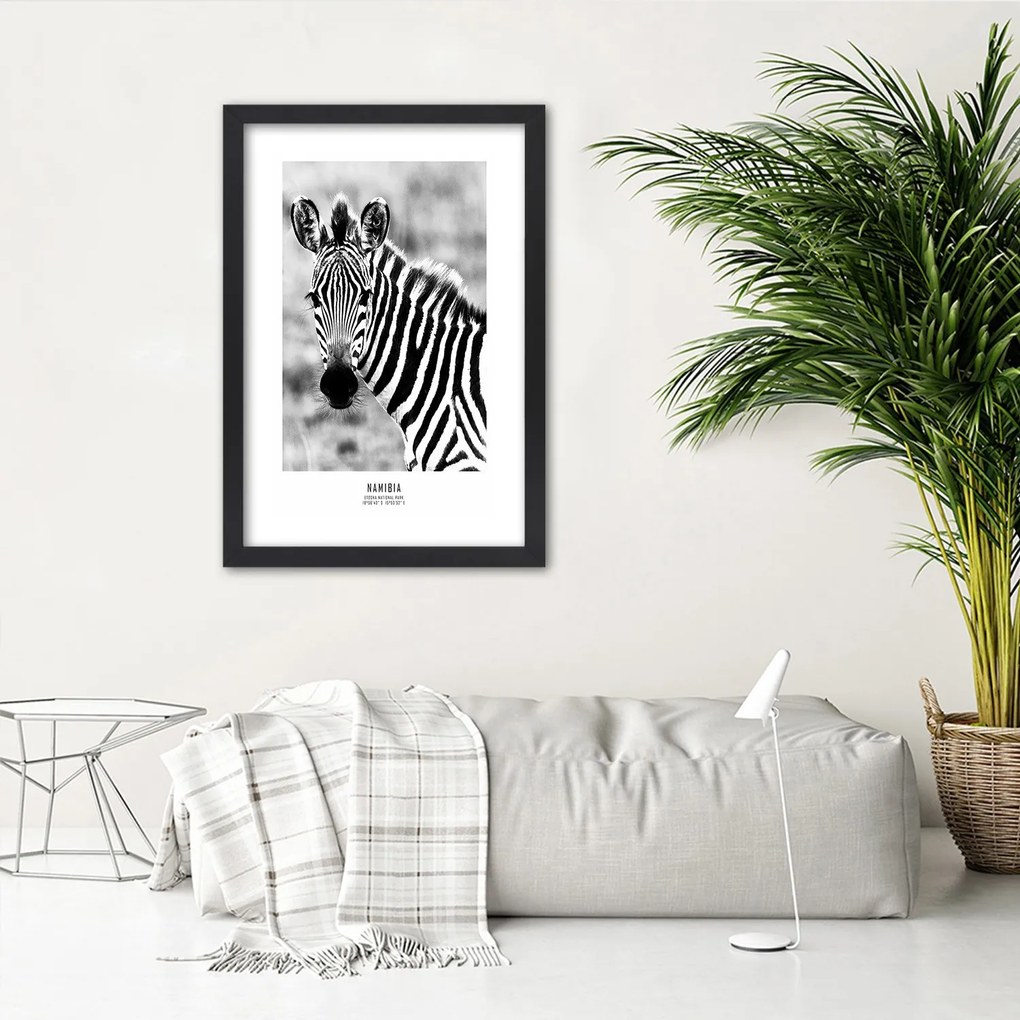 Gario Plagát Zvedavá zebra Farba rámu: Bez rámu, Rozmery: 30 x 45 cm