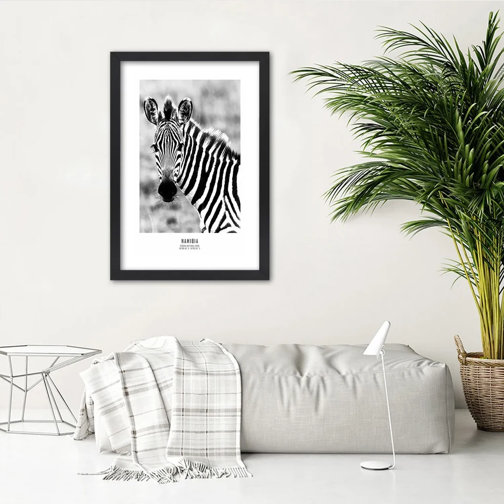 Gario Plagát Zvedavá zebra Farba rámu: Bez rámu, Rozmery: 20 x 30 cm