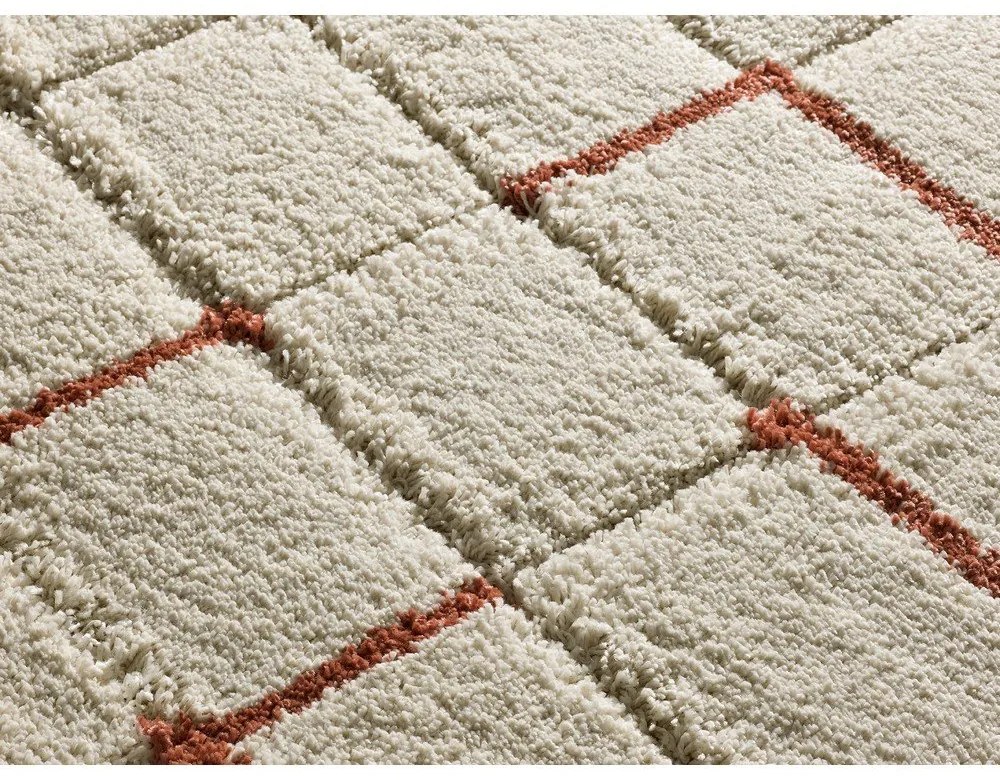 Koberec v tehlovej a krémovej farbe 200x290 cm Brenda – Universal