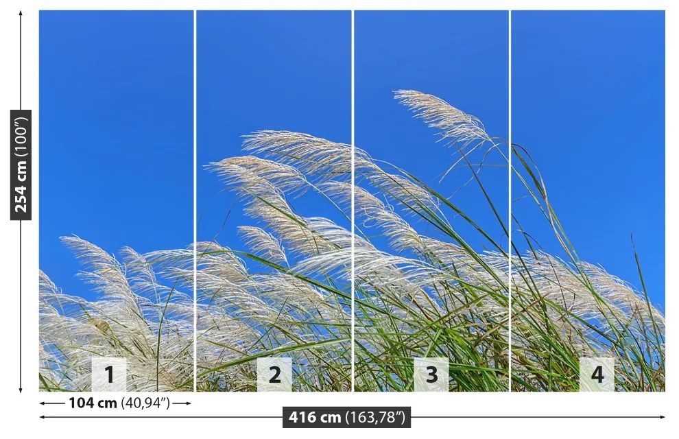 Fototapeta Vliesová Modrá tráva 250x104 cm