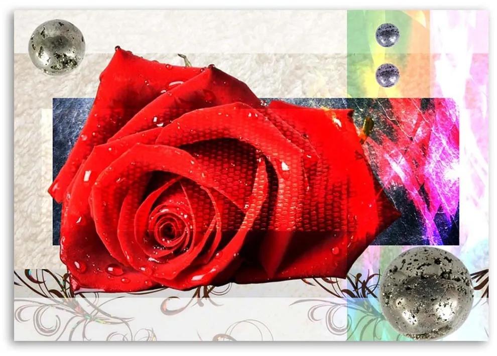 Obraz na plátně Červené květy růží Abstrakt - 60x40 cm
