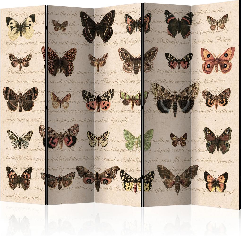 Paraván - Retro Style: Butterflies II [Room Dividers] 225x172 7-10 dní