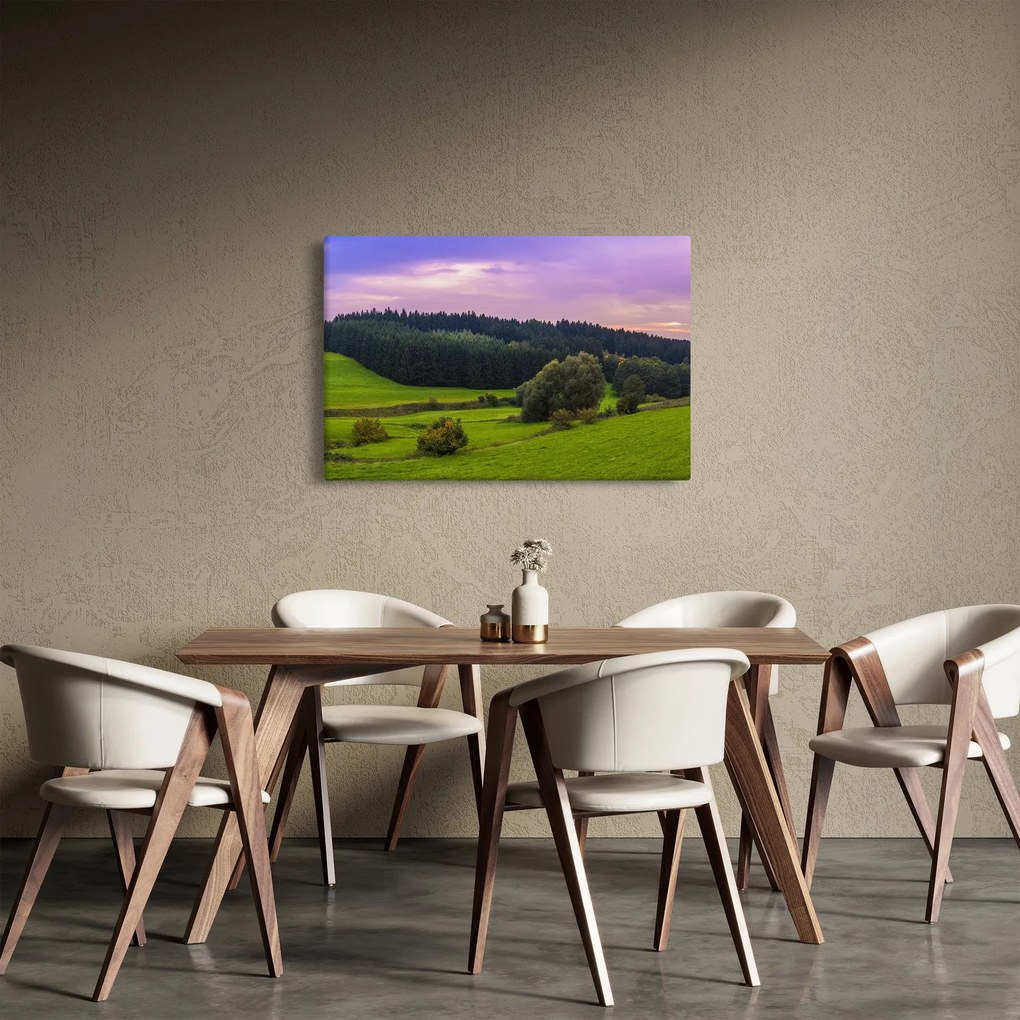 Obraz lúky (90x60 cm)