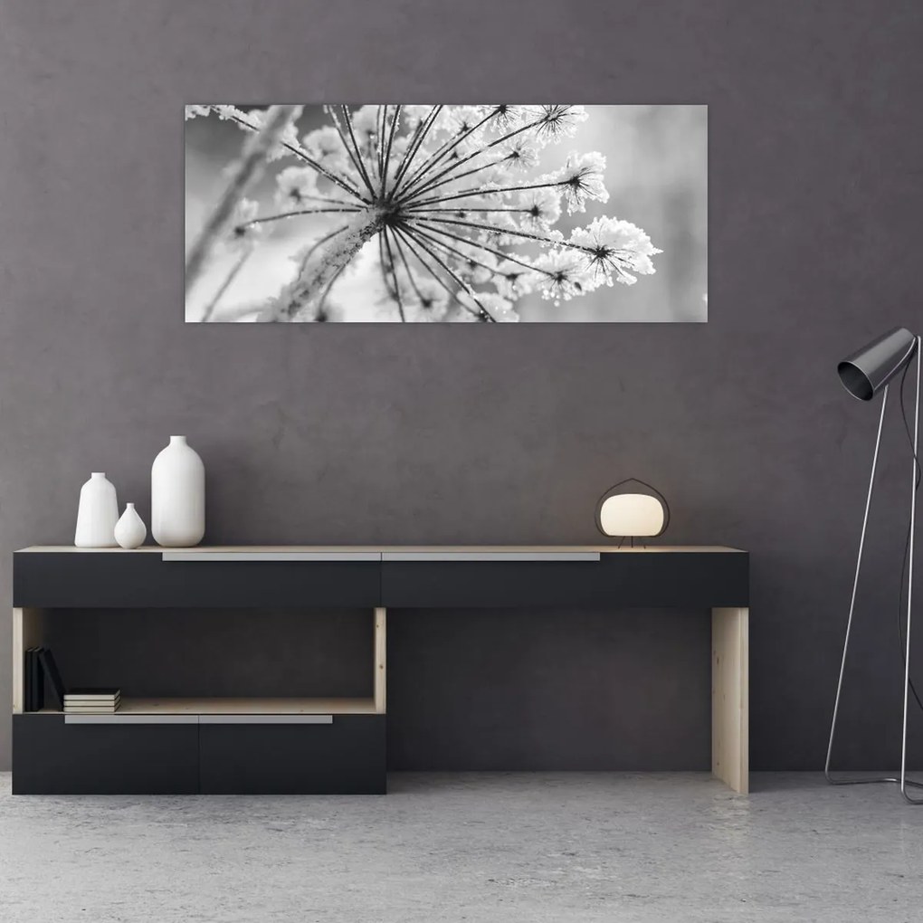 Obraz - Kvetina v zime (120x50 cm)
