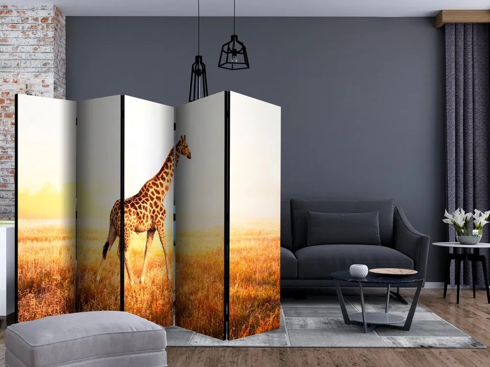 Artgeist Paraván - giraffe - walk [Room Dividers]