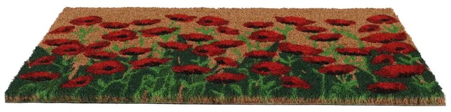 Rohožka z kokosového vlákna 40x60 cm - Esschert Design