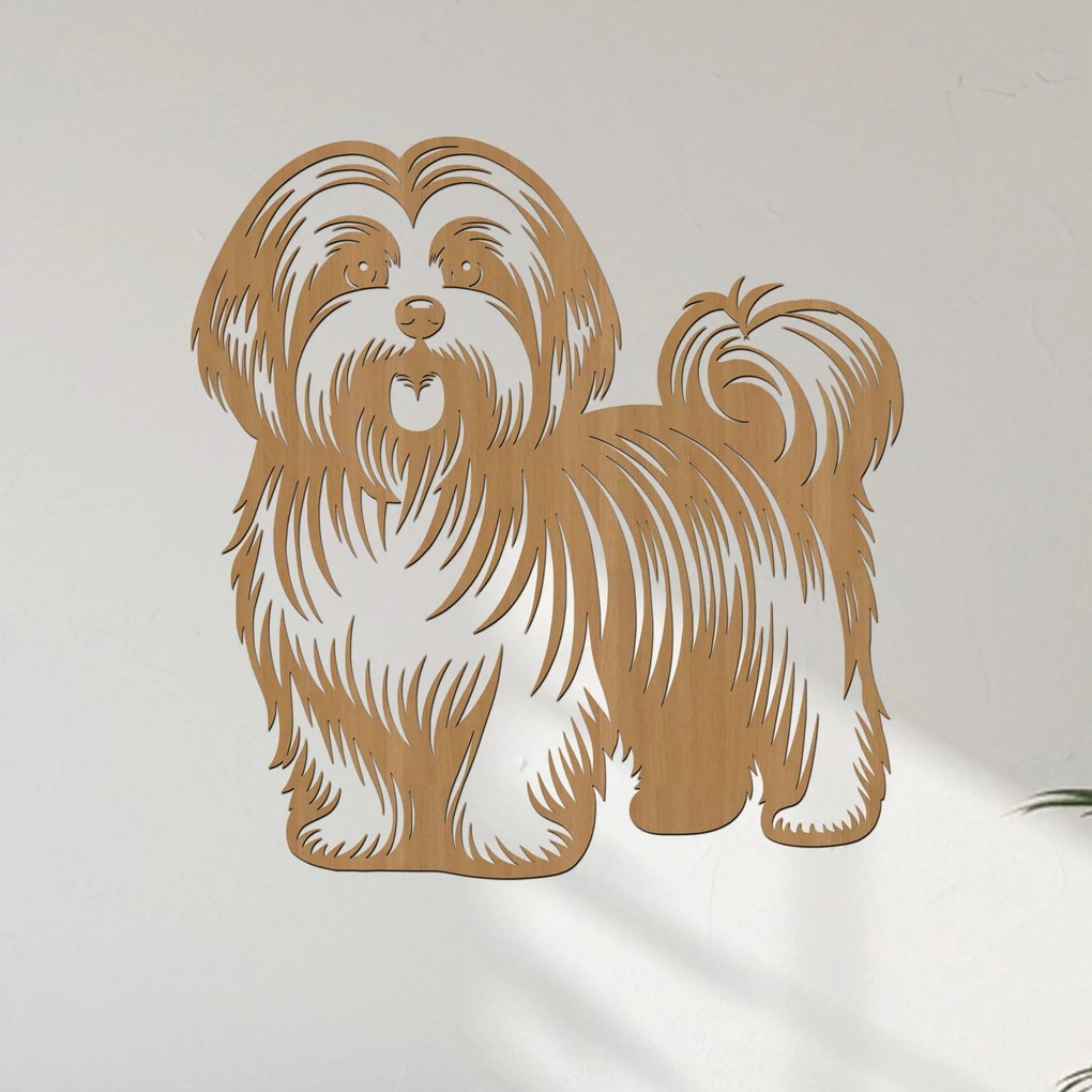 dřevo života Drevený obraz Havanský psík (Havanese) Rozmery - cm: 38x40, Zvoľte farbu dekoru: Dub zlatý