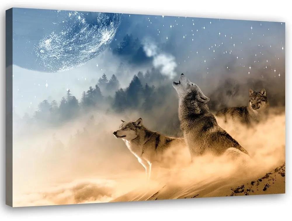 Obraz na plátně Vlk v mlze Lesní příroda - 90x60 cm