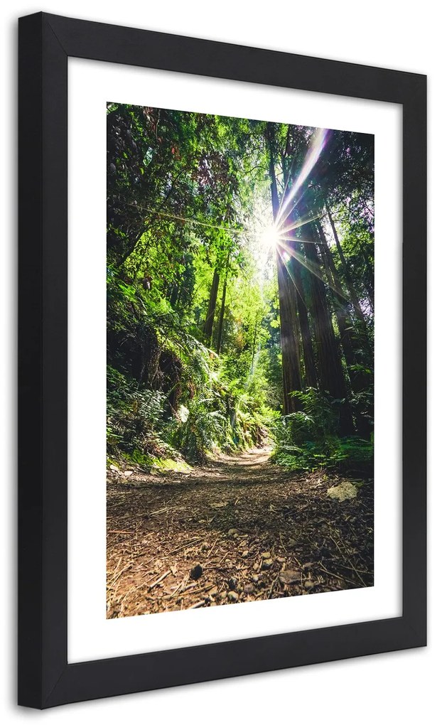 Gario Plagát Cesta v hustom lese Farba rámu: Bez rámu, Rozmery: 40 x 60 cm
