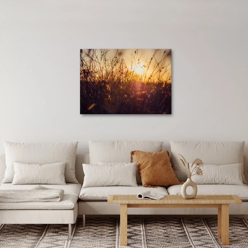 Obraz poľa pri západe slnka (70x50 cm)