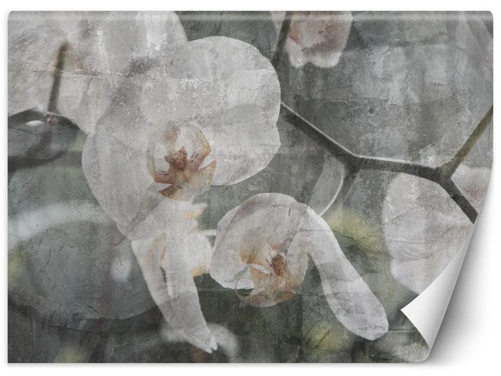 Gario Fototapeta Orchidea vintage Materiál: Vliesová, Rozmery: 200 x 140 cm