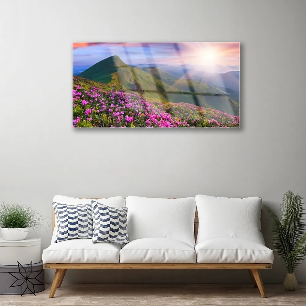 Skleneny obraz Hory lúka kvety príroda 125x50 cm