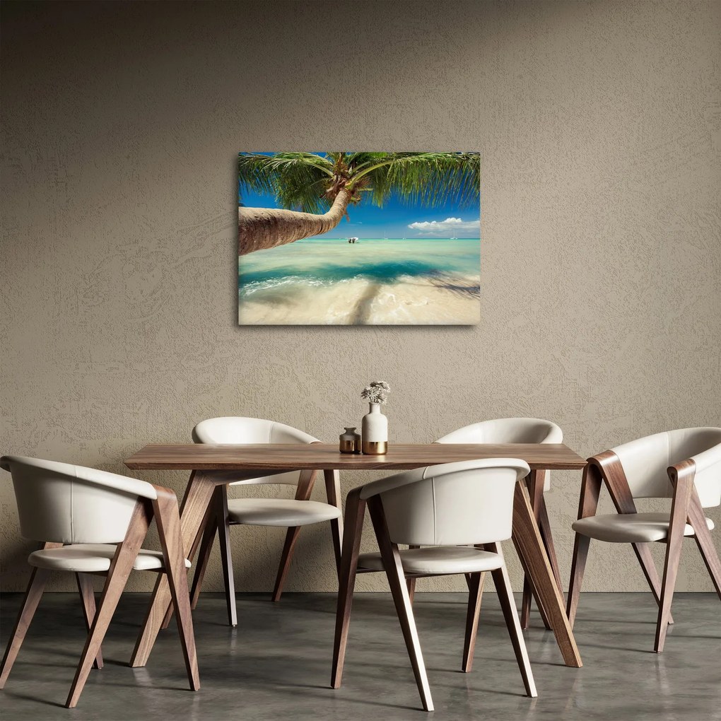 Obraz - Čisté more s palmou (70x50 cm)