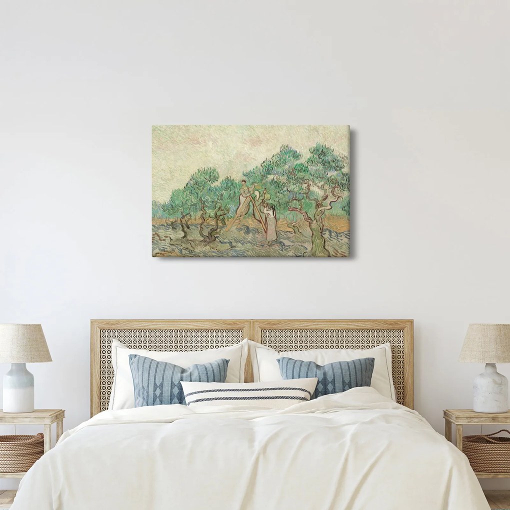 Obraz - Vincent van Gogh, The Olive Orchard, reprodukcia (90x60 cm)