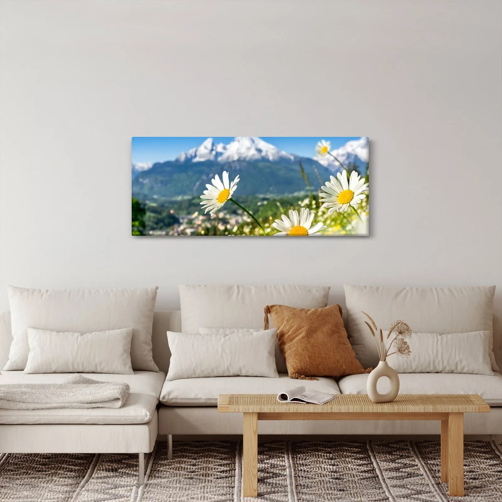 Obraz - Jar v Alpách (120x50 cm)