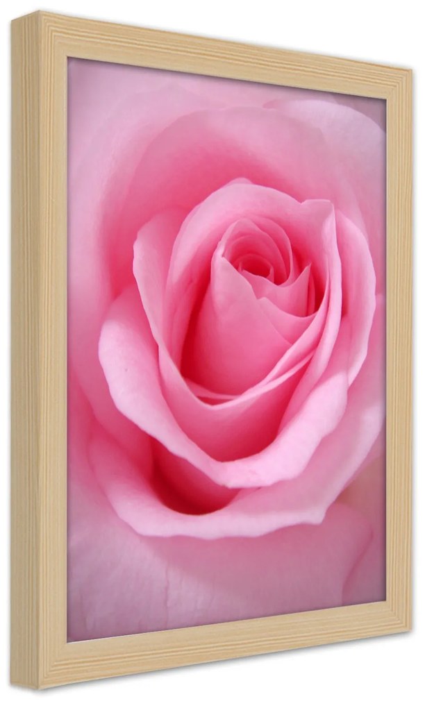 Gario Plagát Romantická ruža Farba rámu: Bez rámu, Rozmery: 20 x 30 cm