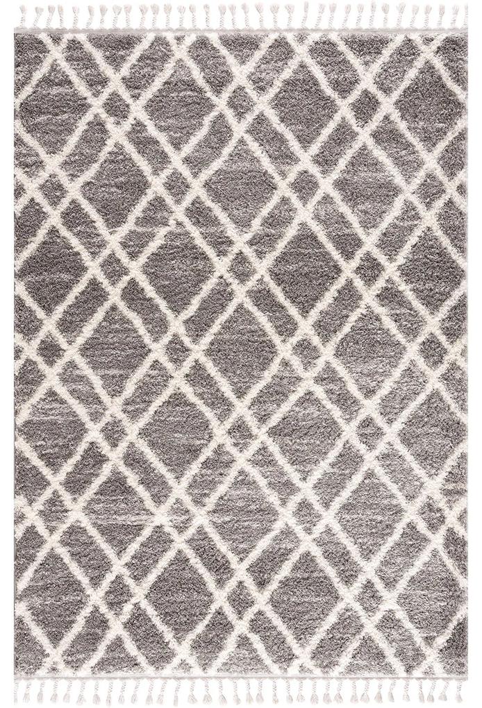 Dekorstudio Shaggy koberec s dlhým vlasom PULPY 540 Rozmer koberca: 140x200cm
