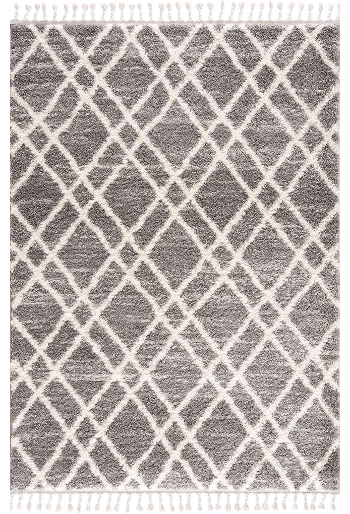 Dekorstudio Shaggy koberec s dlhým vlasom PULPY 540 Rozmer koberca: 200x290cm