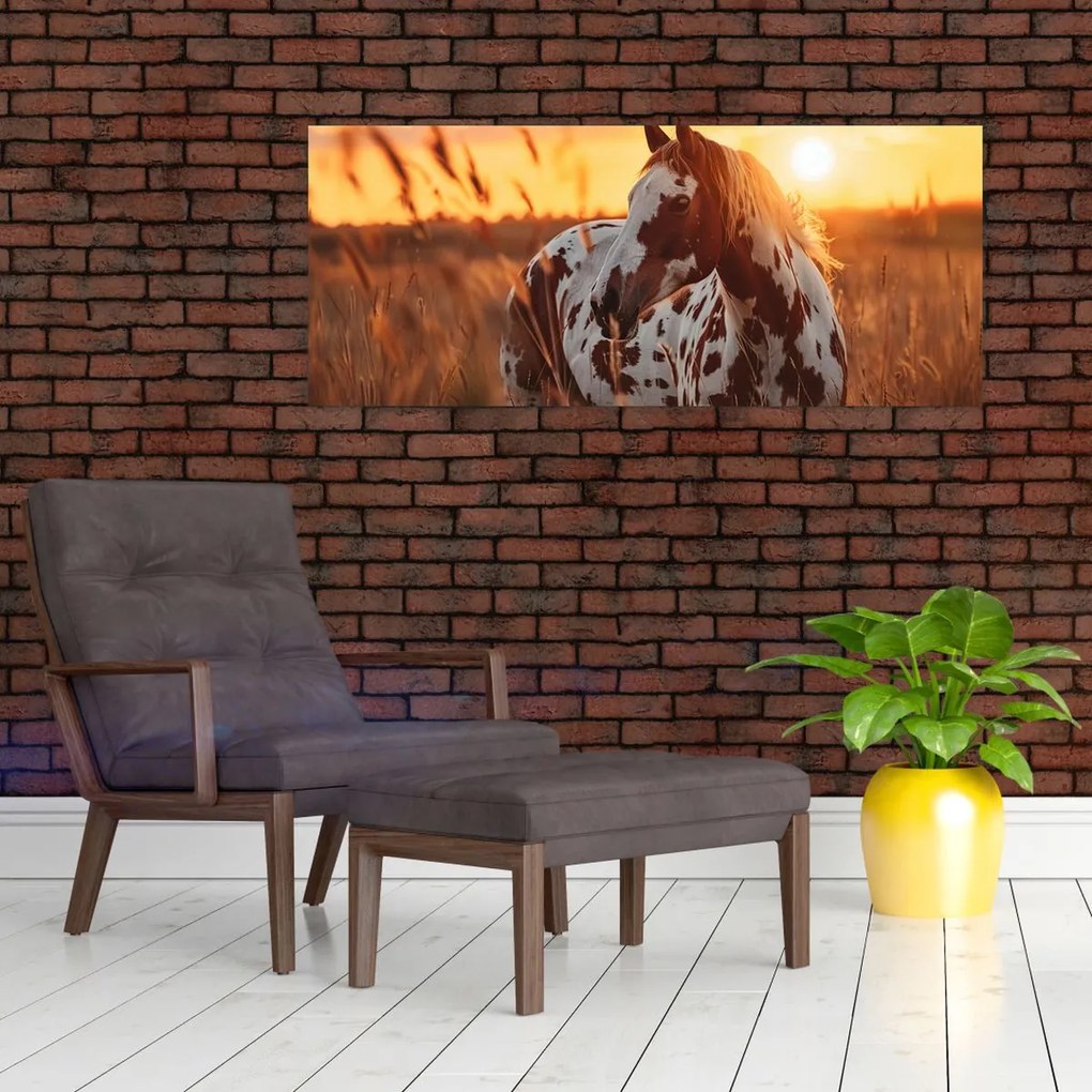 Obraz - Kôň pri západe slnka (120x50 cm)