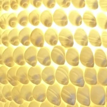 Lampa 400 Morských mušlí Tiffany Style Branches Ø15*37