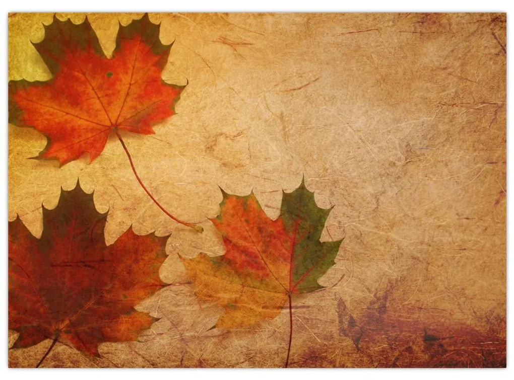 Sklenený obraz s jesenným motívom (70x50 cm)