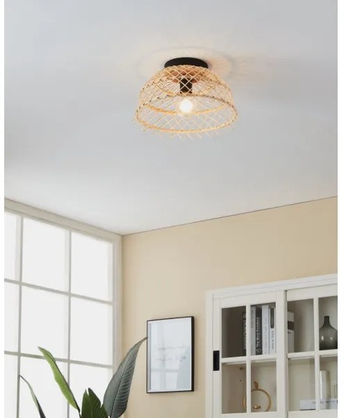 Eglo 43831 - Stropné svietidlo AUSNBY 1xE27/40W/230V