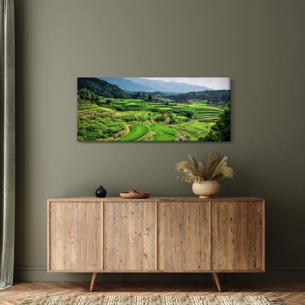 Obraz ryžových polí (120x50 cm)