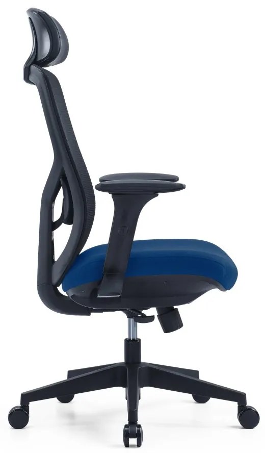 Kancelárska ergonomická stolička PYLON — látka, čierna / viac farieb Modrá Bez podhlavníka