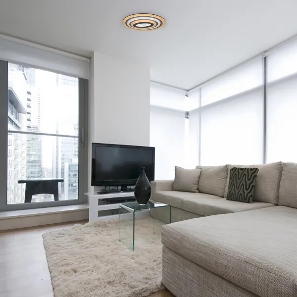 Rabalux 3097 - LED stmievateľné stropné svietidlo TANELI LED/41W/230V + diaľkový ovládač