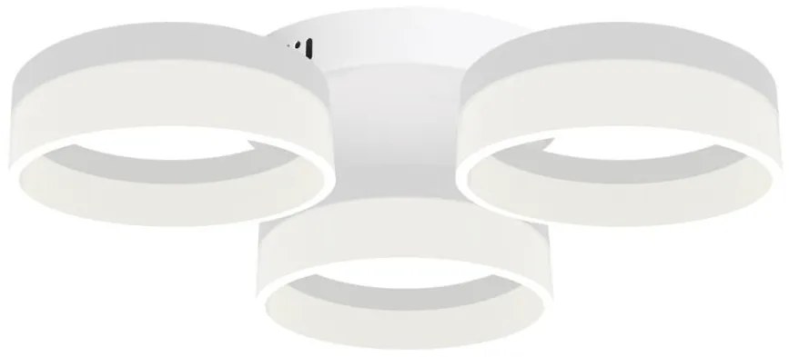LED Stropné svietidlo RING 3xLED/12W/230V biele
