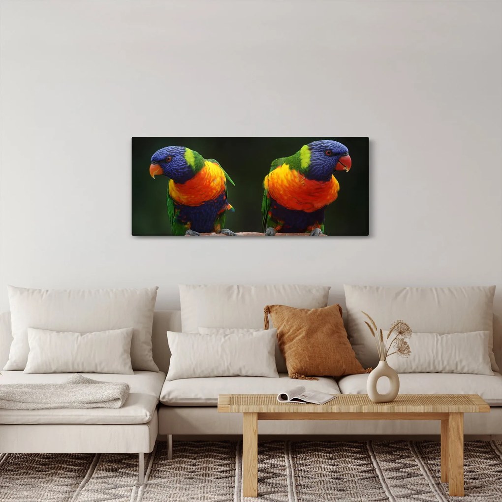 Obraz papagájov (120x50 cm)